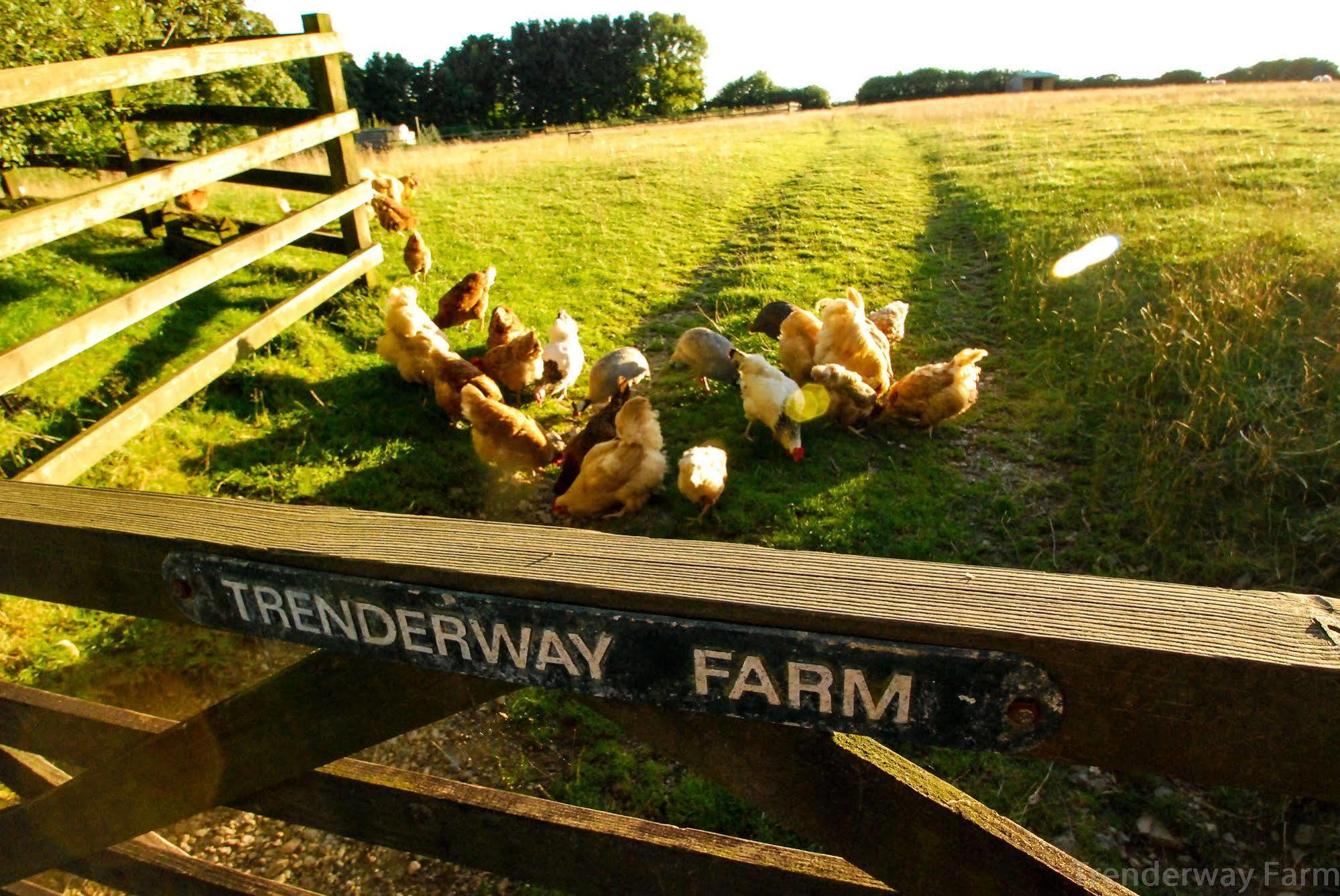 Trenderway Farm Bed & Breakfast Looe Exterior photo