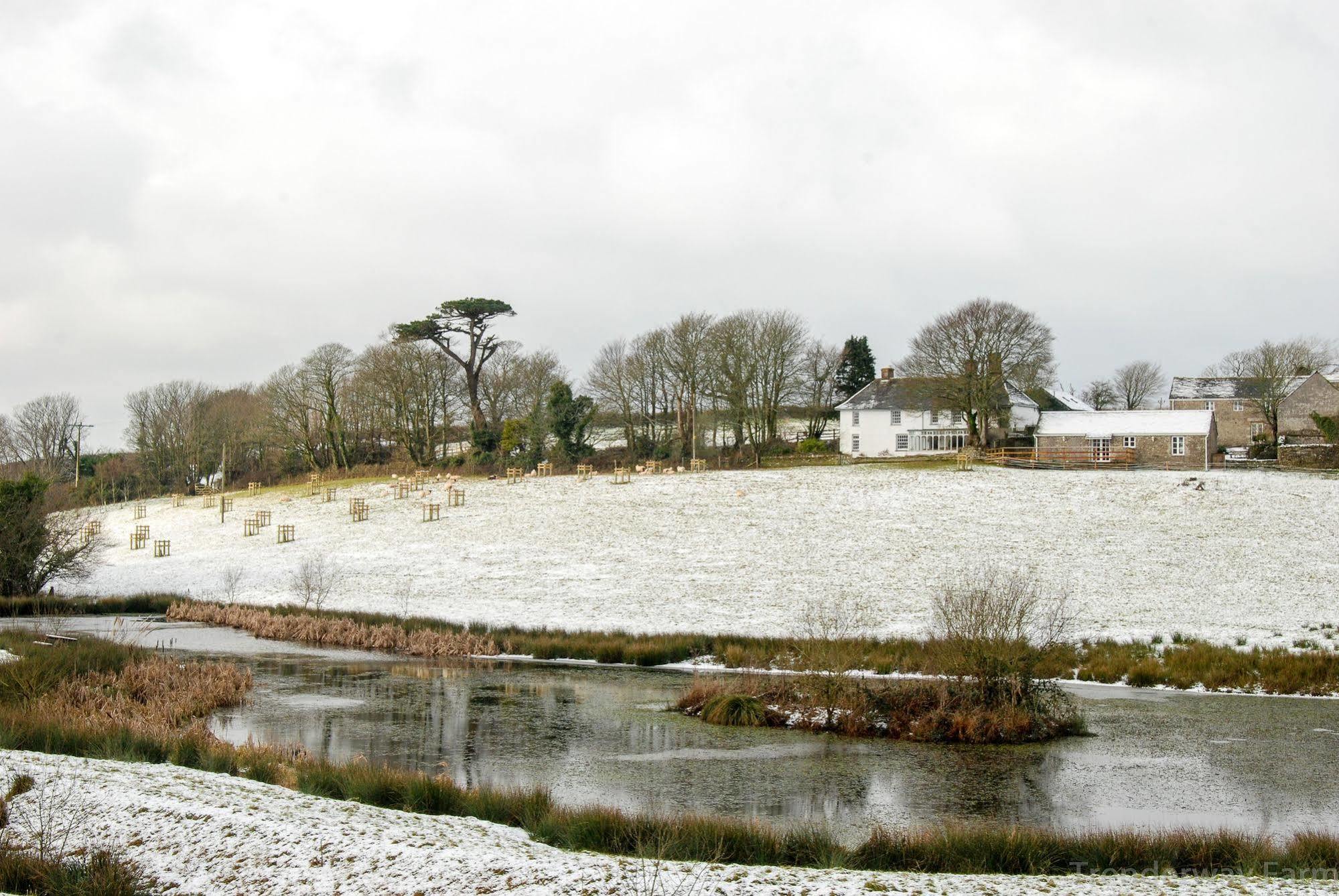 Trenderway Farm Bed & Breakfast Looe Exterior photo